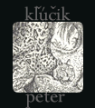 Peter Klucik